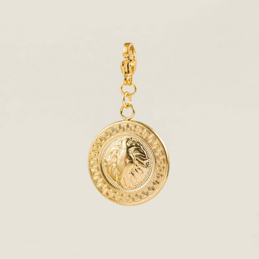 Charm Darwin Collection, Charm Colgante Dorado, Medalla Oro