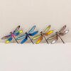 Te traemos el Broche forma libélulas colores para que puedas darle mayor protagonismo a tus looks de diario. No lo dudes y hazte con él.