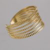 Anillo Dakota