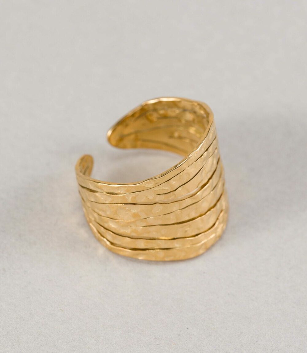 Anillo Florida