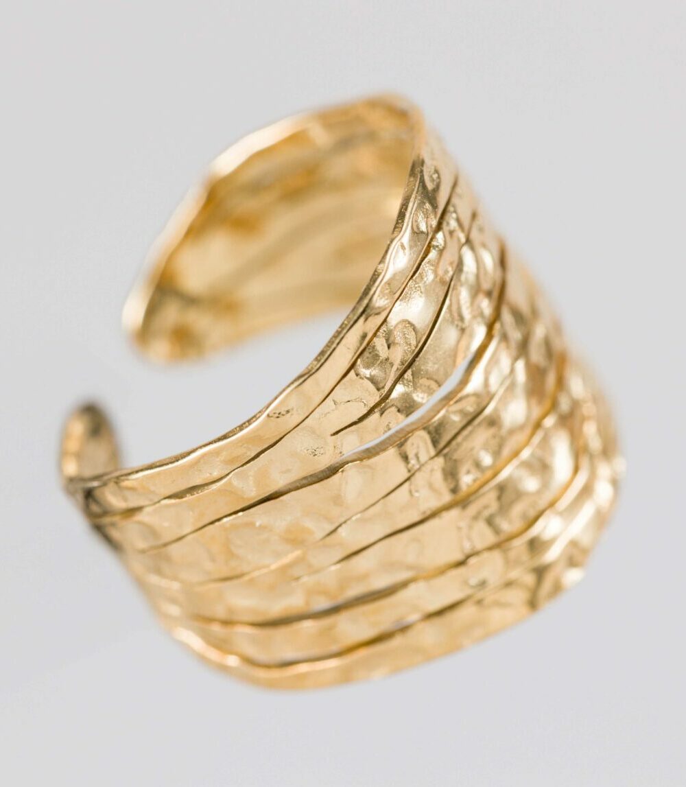 Anillo Florida
