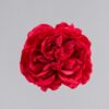 Flor flamenca camelia niña roja