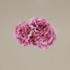 ¡Prepárate para lucir como una auténtica  flamenca con nuestra increíble Ramillete Claveles Pequeños Rosa Palo! Con Darwin, ¡siempre aciertas!