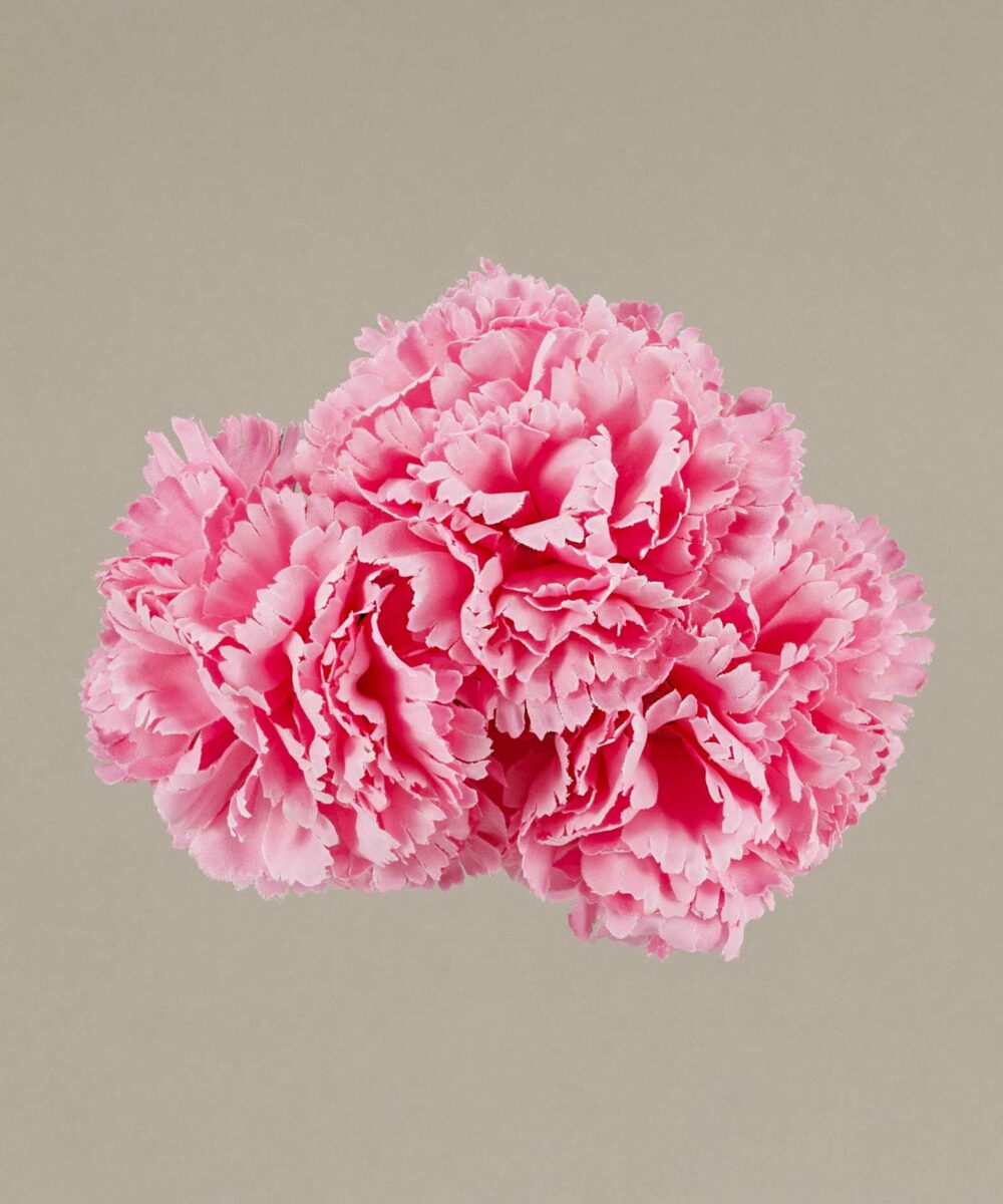 ¡Prepárate para lucir como una auténtica  flamenca con nuestra increíble Ramillete Claveles Pequeños Rosa Chicle! Con Darwin, ¡siempre aciertas!