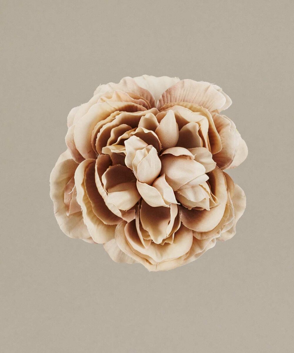 ¡Prepárate para lucir como una auténtica flamenca con nuestra increíble Flor Flamenca Camelia niña maquillaje! Con Darwin, ¡siempre aciertas! ¡Olé!