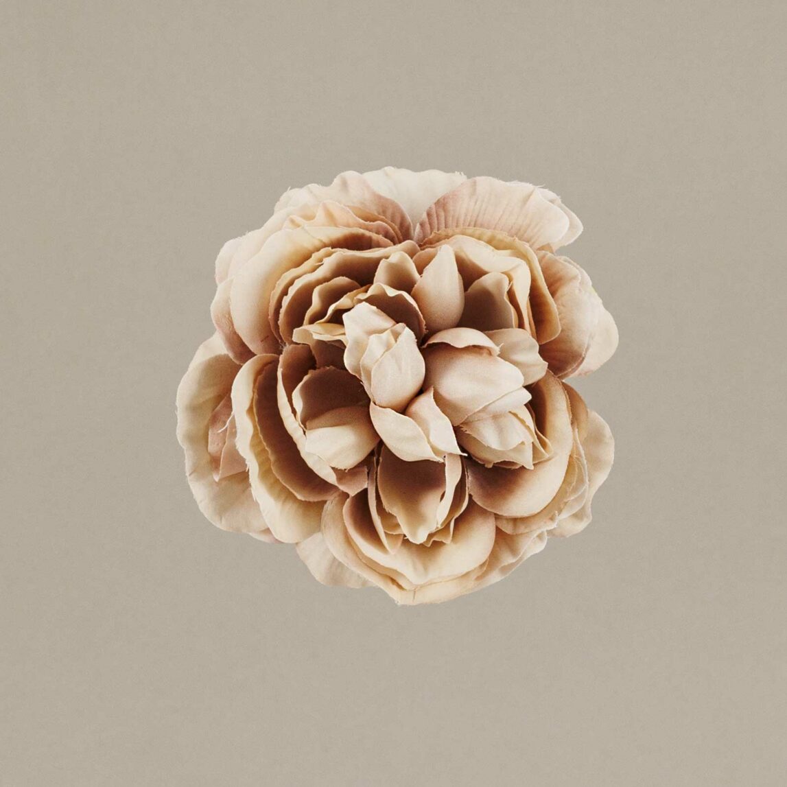 ¡Prepárate para lucir como una auténtica flamenca con nuestra increíble Flor Flamenca Camelia niña maquillaje! Con Darwin, ¡siempre aciertas! ¡Olé!