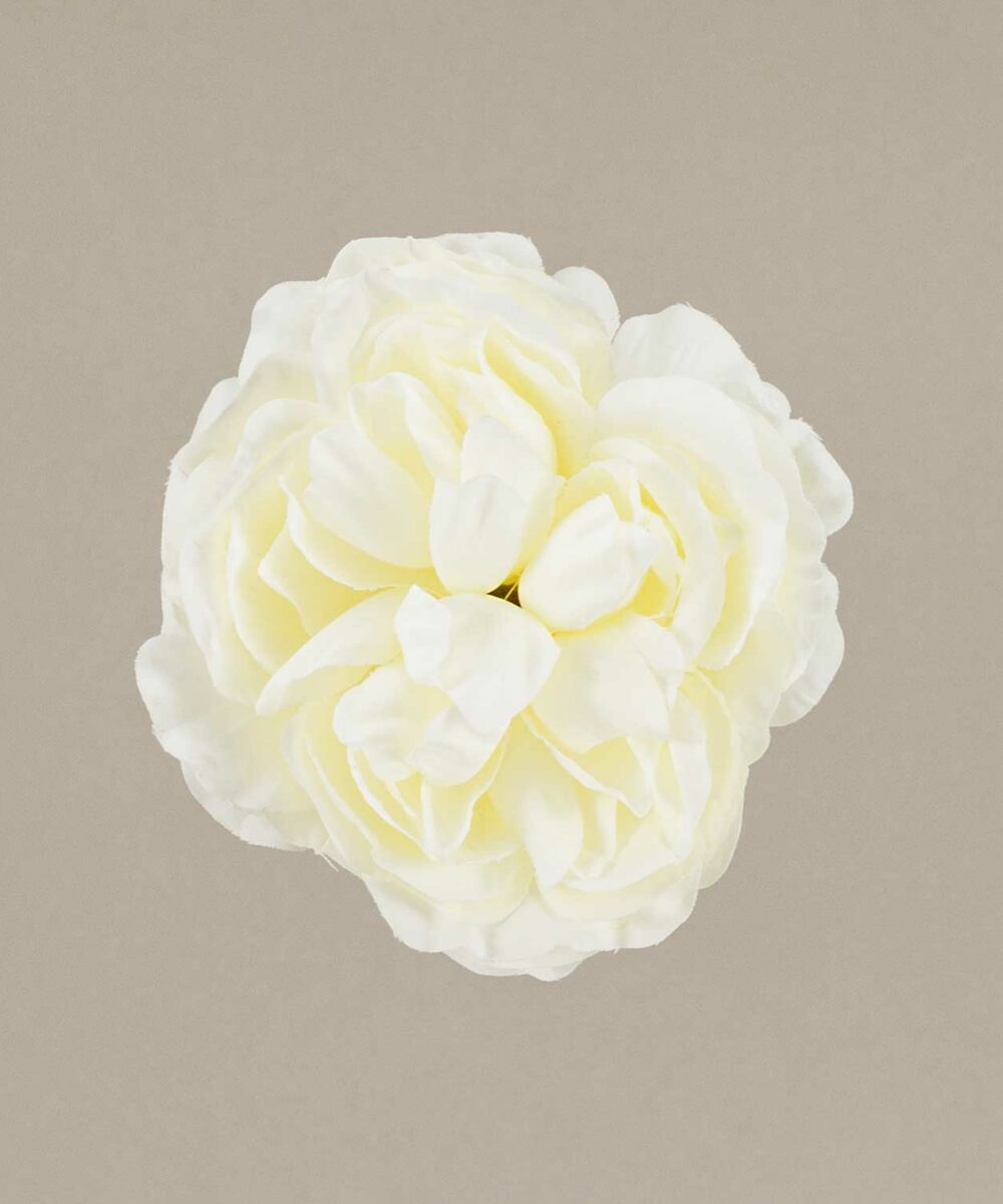 ¡Prepárate para lucir como una auténtica flamenca con nuestra increíble Flor Flamenca Camelia niña blanca! Con Darwin, ¡siempre aciertas! ¡Olé!
