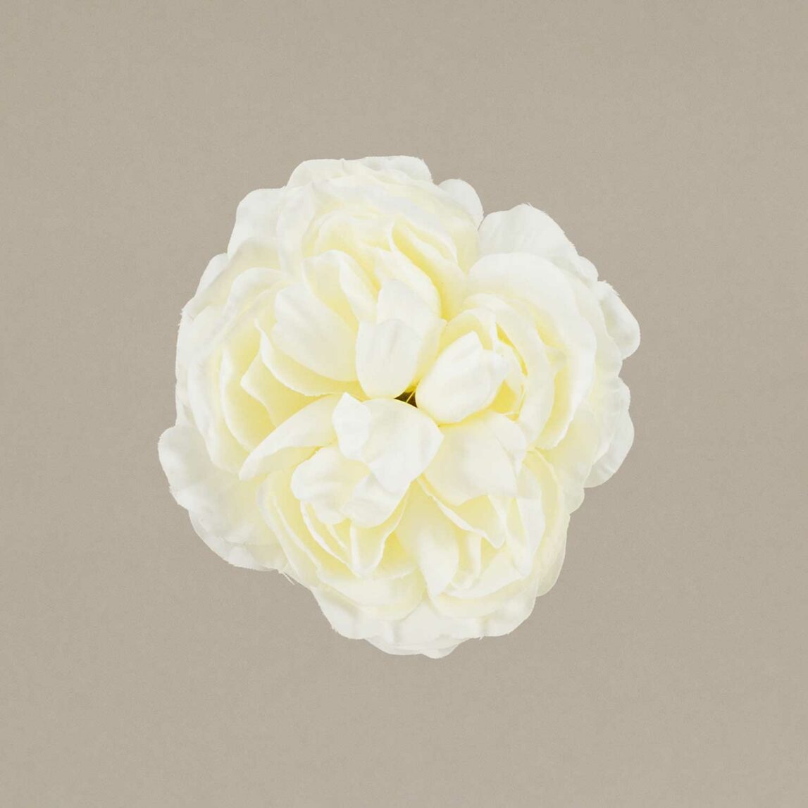 ¡Prepárate para lucir como una auténtica flamenca con nuestra increíble Flor Flamenca Camelia niña blanca! Con Darwin, ¡siempre aciertas! ¡Olé!
