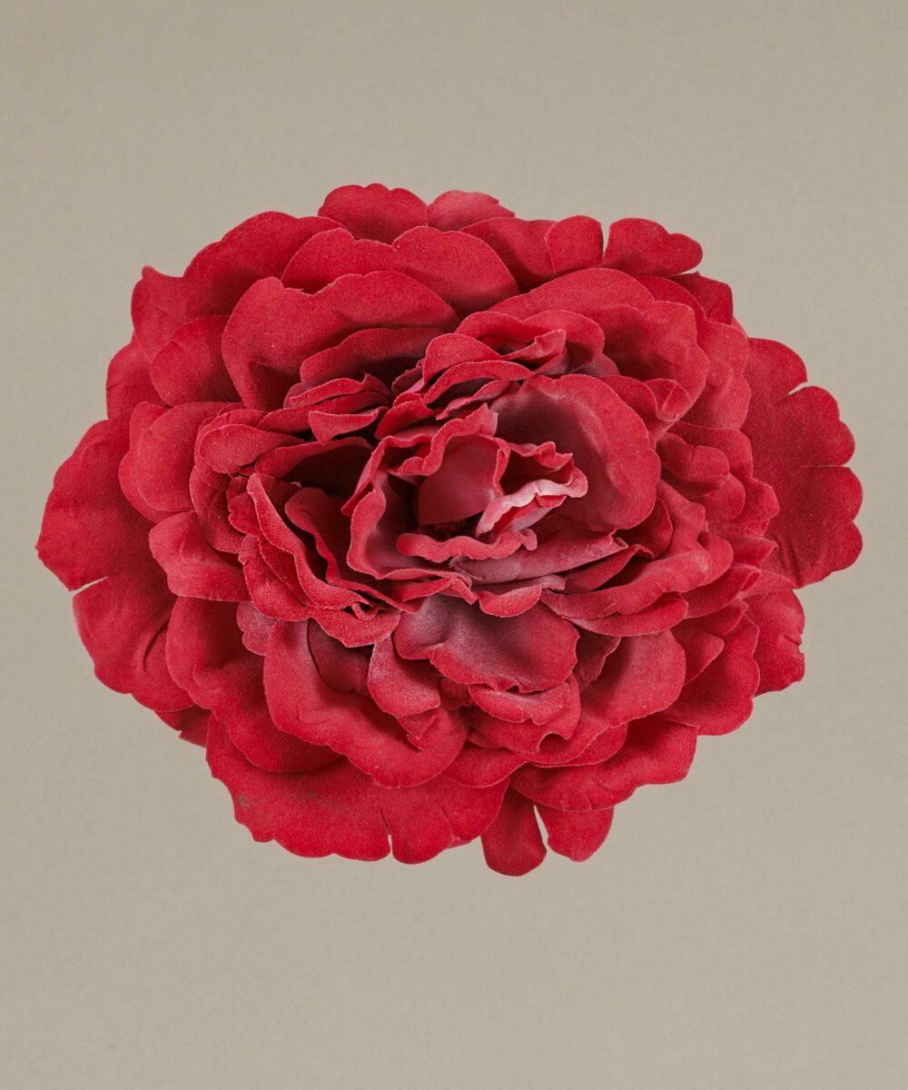 ¡Prepárate para lucir como una auténtica  flamenca con nuestra increíble Flor Flamenca Rosa inglesa rosa! Con Darwin, ¡siempre aciertas!