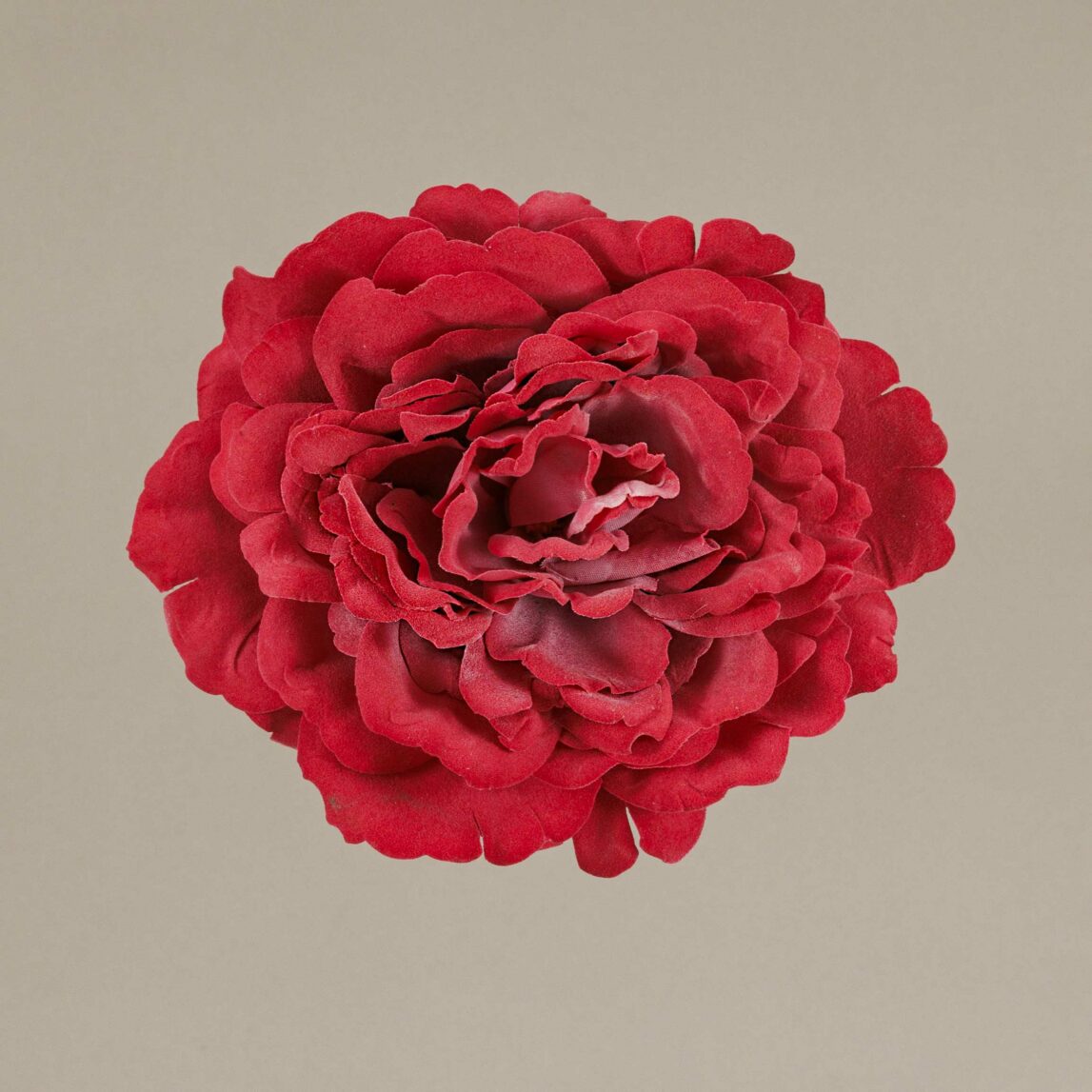 ¡Prepárate para lucir como una auténtica  flamenca con nuestra increíble Flor Flamenca Rosa inglesa rosa! Con Darwin, ¡siempre aciertas!