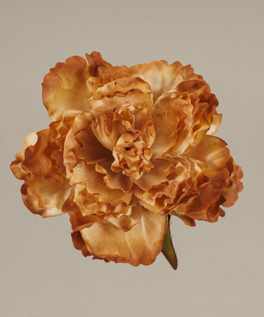 ¡Prepárate para lucir como una auténtica  flamenca con nuestra increíble Flor Flamenca Peonia Coffee! Con Darwin, ¡siempre aciertas! ¡Olé!
