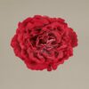 Flor Flamenca Rosa inglesa rosa