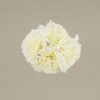 Ramillete claveles beige