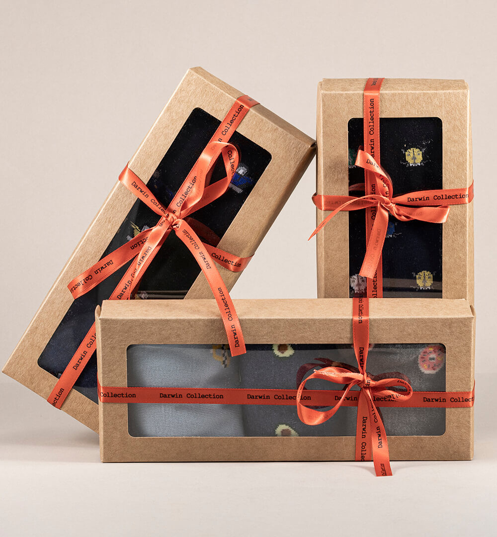 Pack calcetines vespas