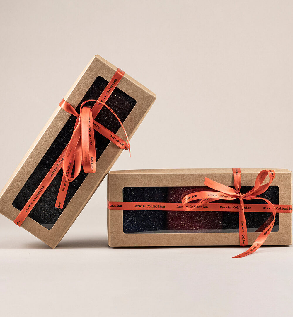 Pack calcetines purpurina