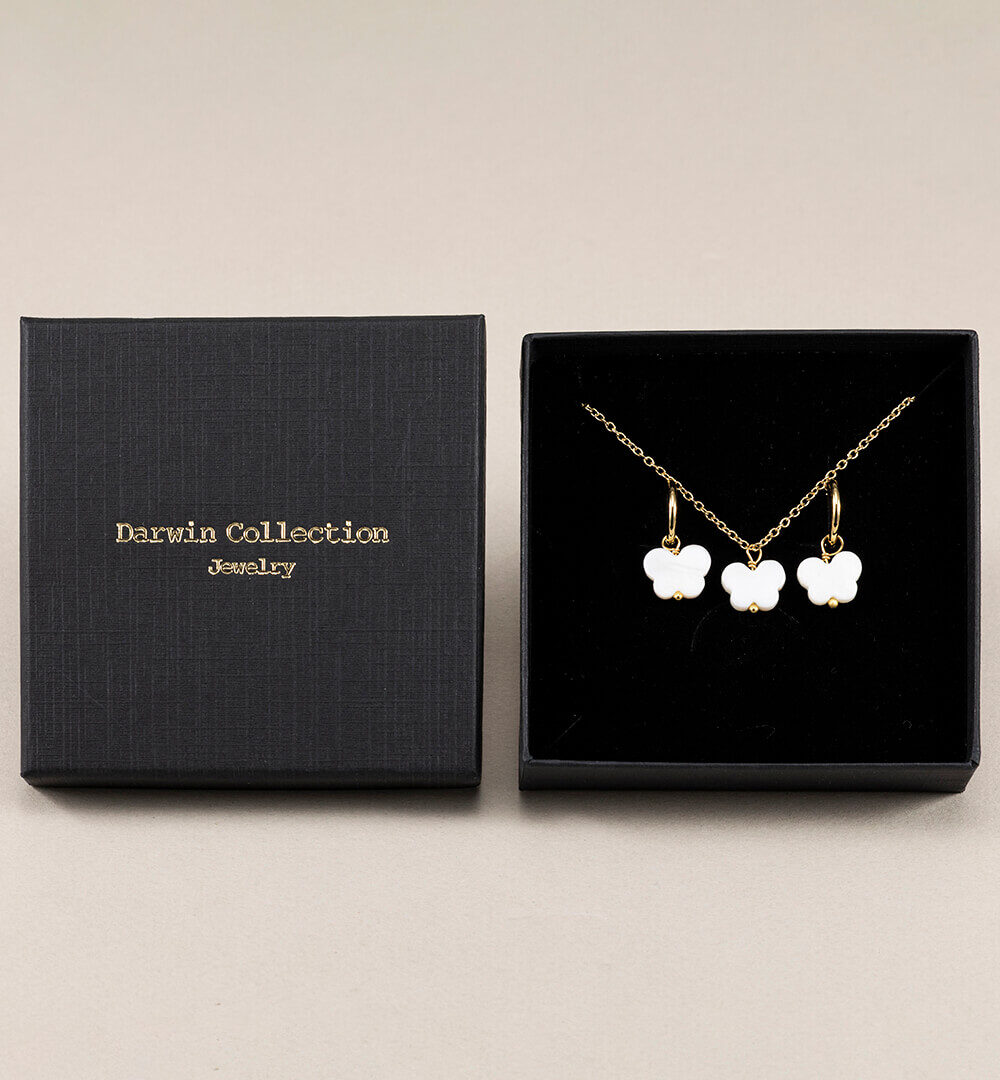 Pack Mariposa de nácar