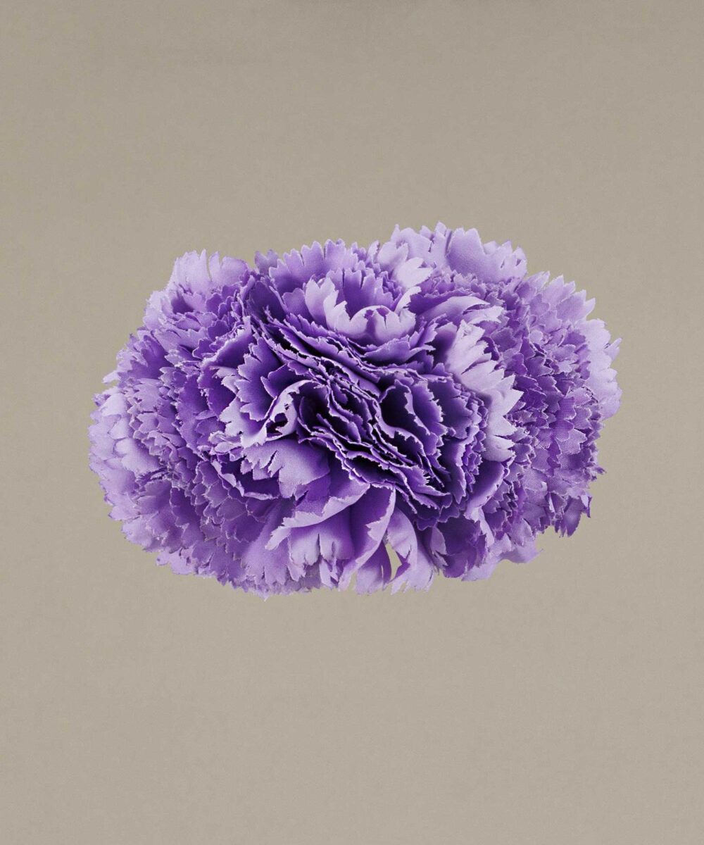 Ramillete claveles pequeños malva