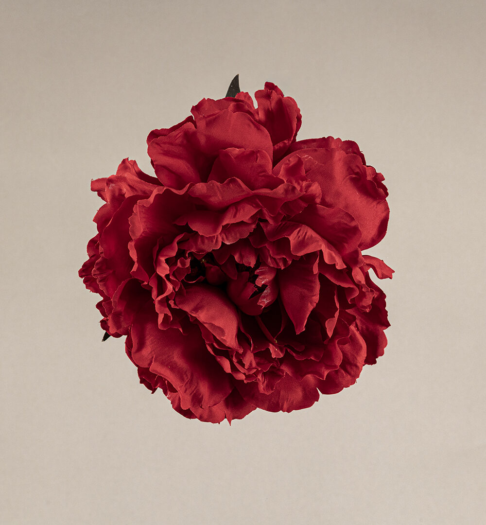 Flor flamenca Peonía roja Sevilla