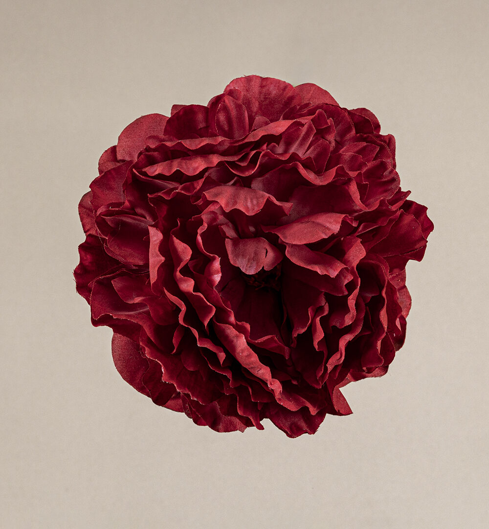 Flor Flamenca Peonía Roja Sevilla