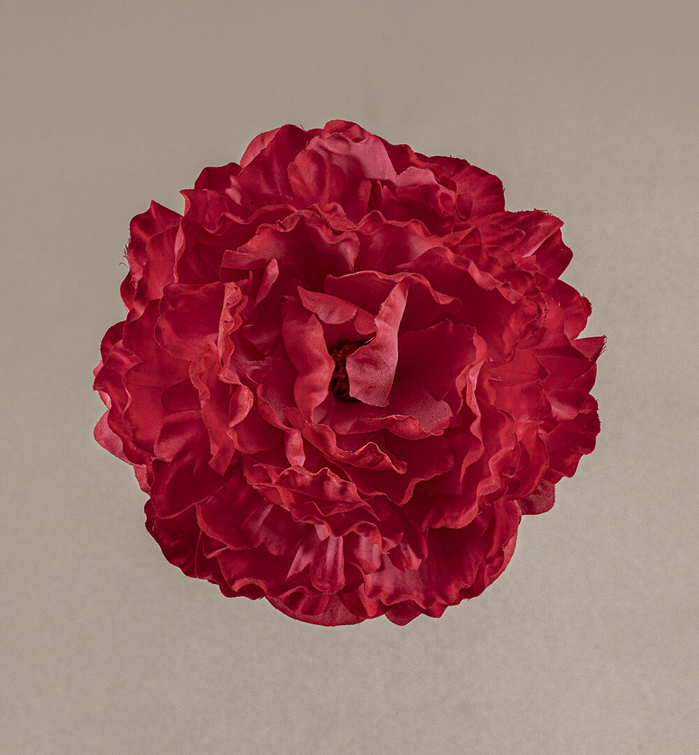 Flor flamenca Peonía fresa