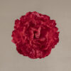 Flor flamenca Peonía fresa