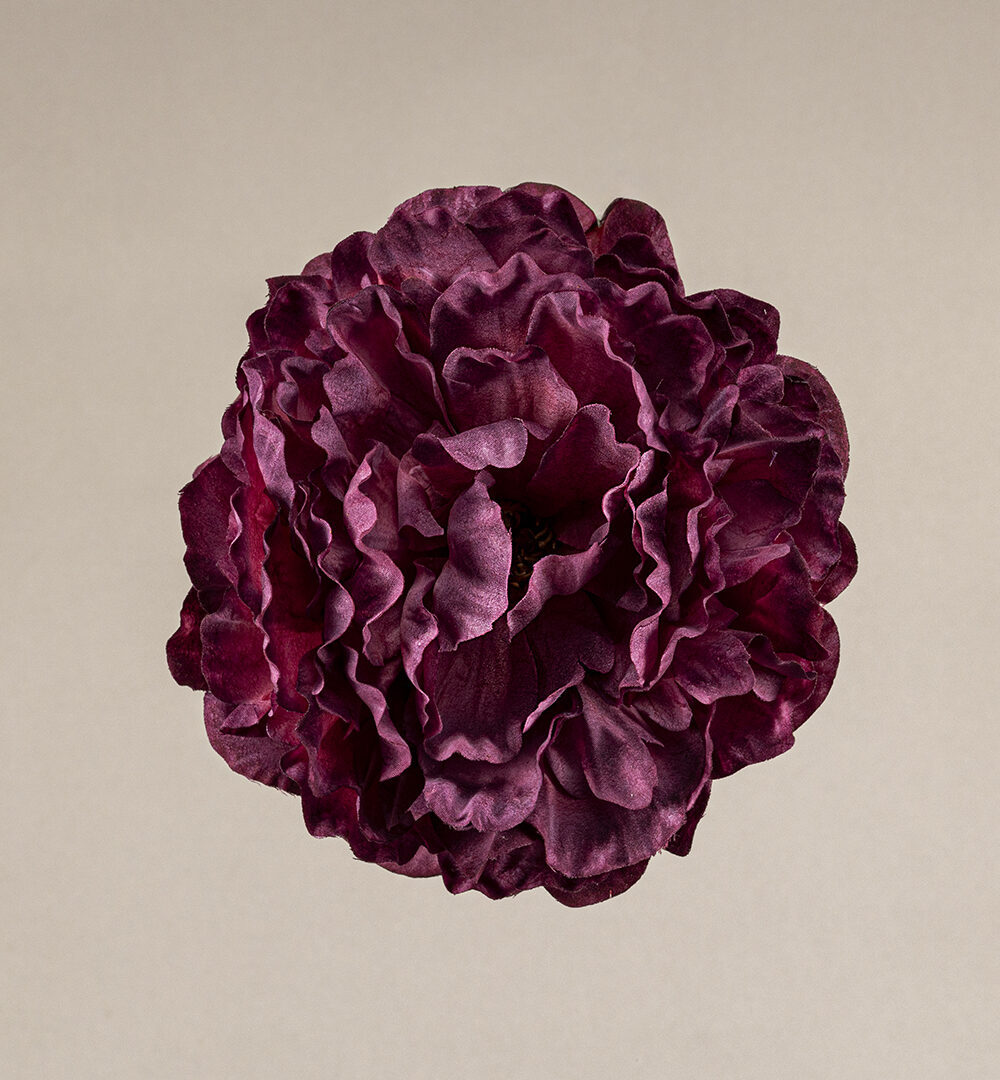 Flor flamenca Peonía marsala