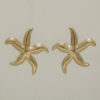 Pendientes Estrella de mar