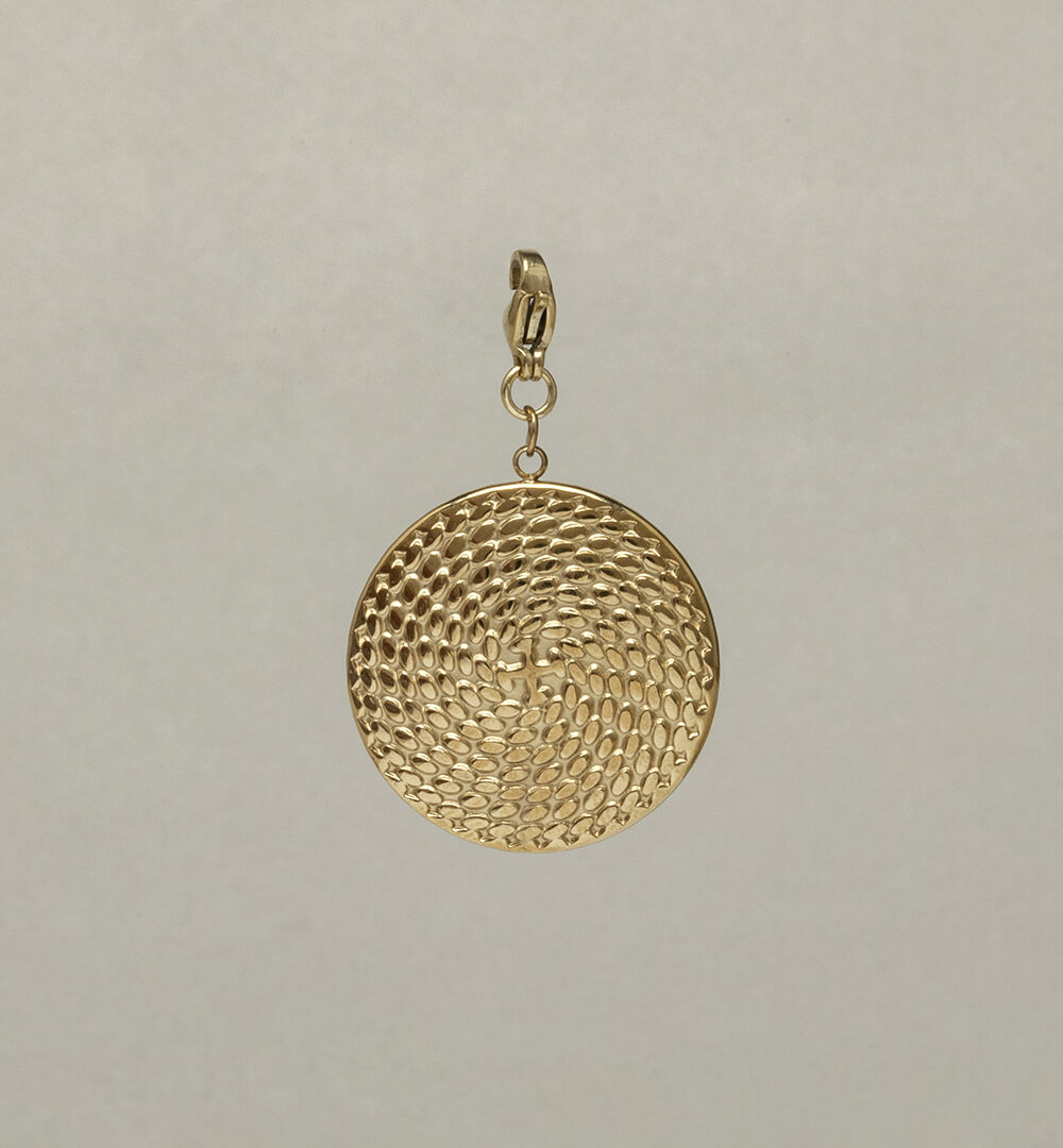 Charm Medalla Cosmos