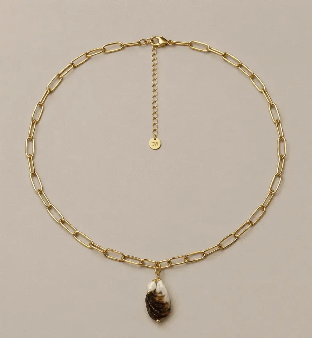 Gif. Collar Coquille