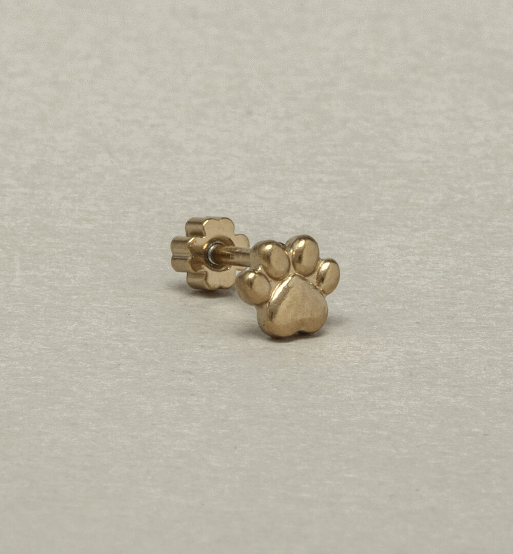 Piercing plano Trufa