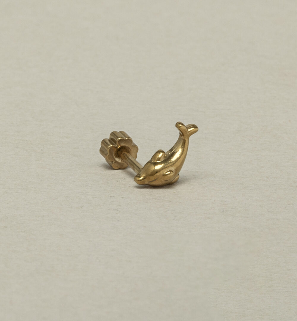 Piercing plano Delfín